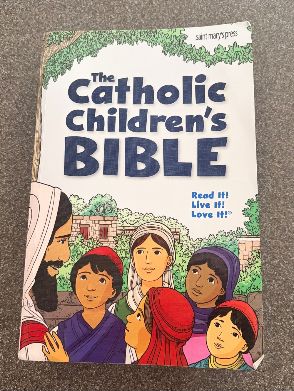 Catholic Children's Bible Revised 2018 GNT Catholic Edition Stickers 2002 Pages